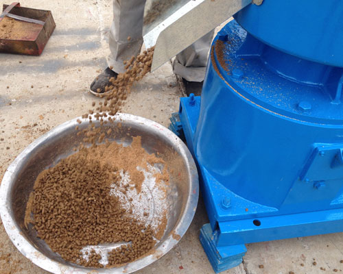 小型魚(yú)飼料顆粒機(jī)視頻